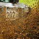 Illustration for article titled A Dispatch From The Certifiably Insane World Of Amateur Rallying